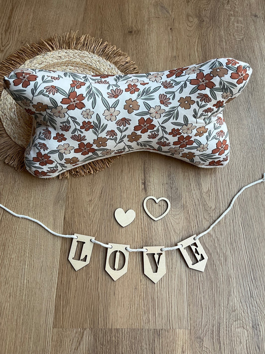 Leseknochen