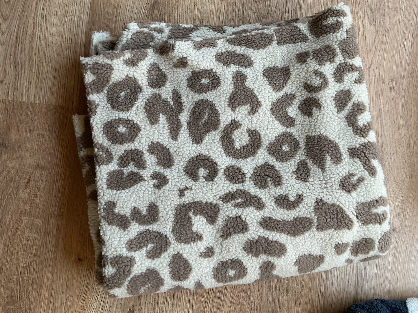 Teddyplüsch