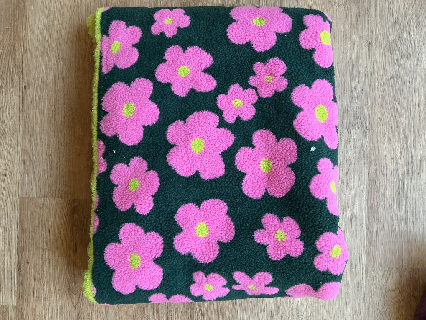 Teddyplüsch